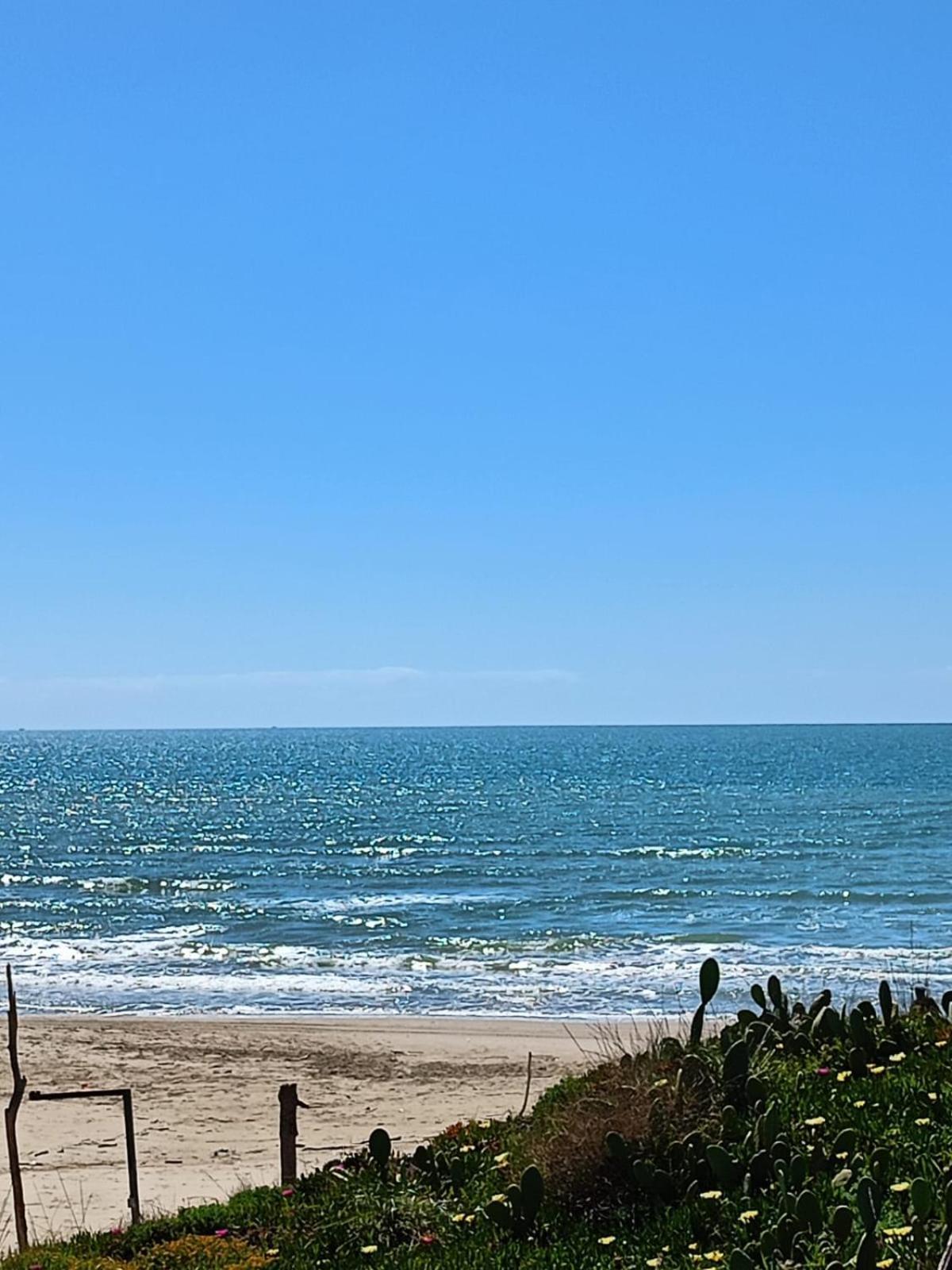 Blu Angel Apartment Lido dei Pini Ngoại thất bức ảnh