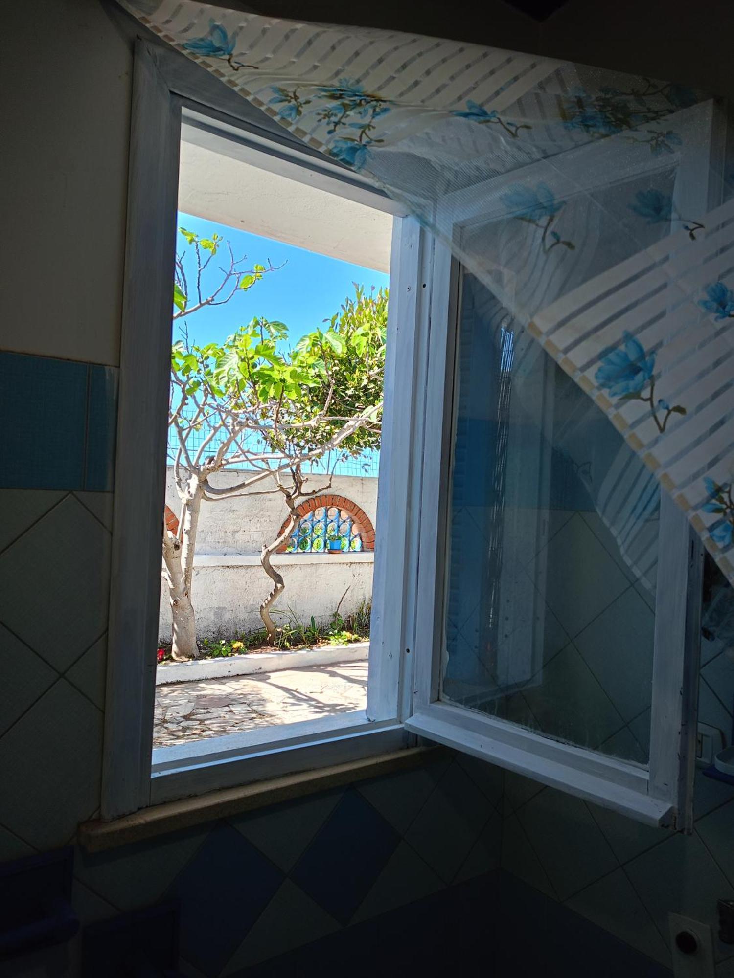 Blu Angel Apartment Lido dei Pini Ngoại thất bức ảnh